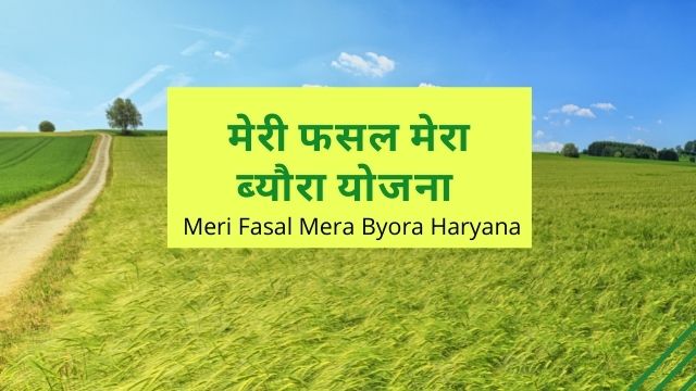 Meri Fasal Mera Byora Haryana