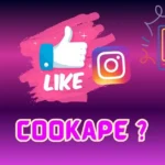 Cookape Instagram Followers Website