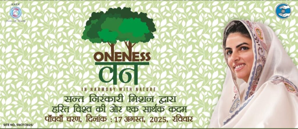 When reality and sketch shake hands -